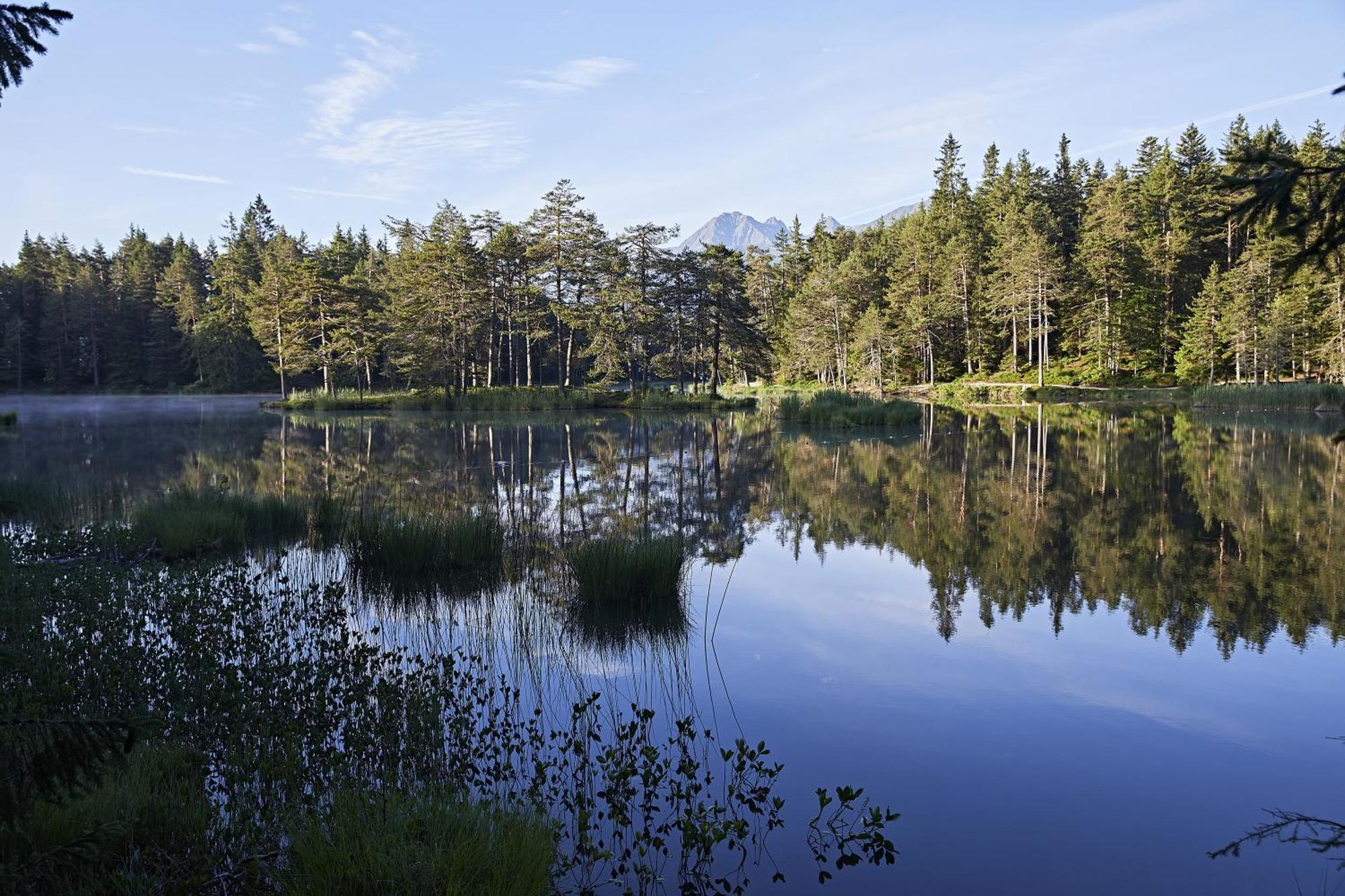 Appartements Landhaus Waidmannsheil Seefeld in Tirol Luaran gambar
